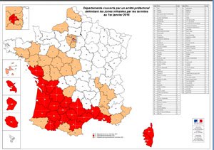 Carte infestation termites GIRONDE